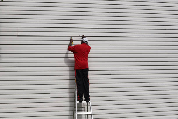 Best Insulated Siding Installation  in Amesti, CA